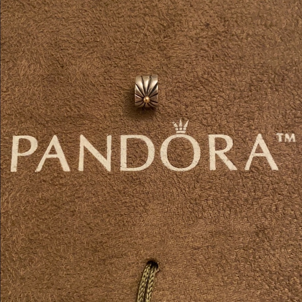 PANDORA Sterling Silver + 14k Gold Clip Charm